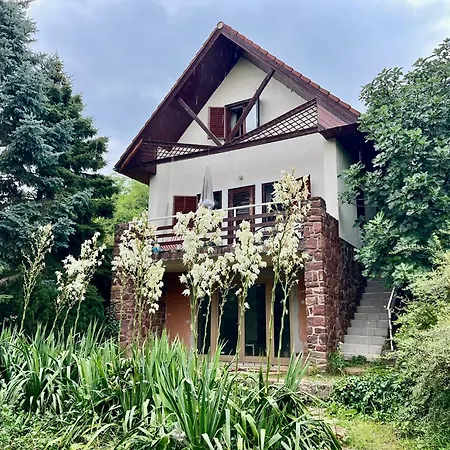 Vadrózsa Kertkapcsolatos Apartamento Badacsonytomaj