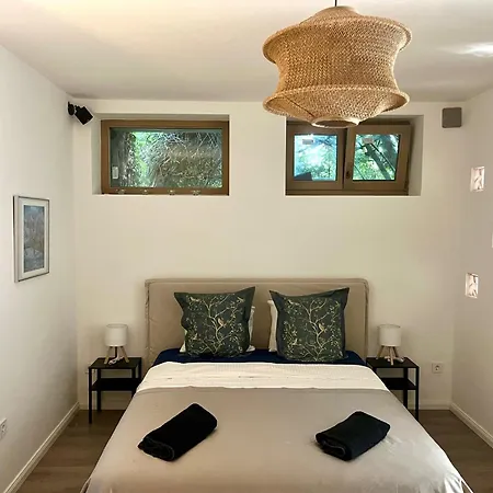 Vadrozsa Kertkapcsolatos アパート バダチョニトマイ