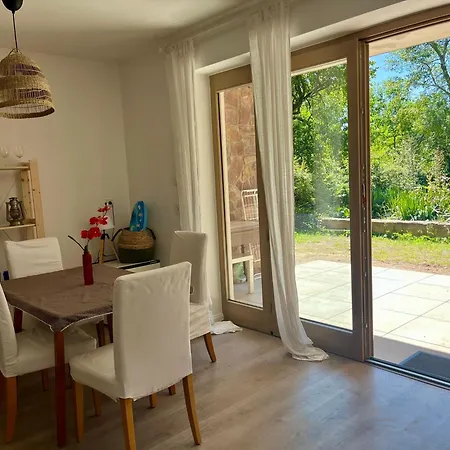 Vadrozsa Kertkapcsolatos バダチョニトマイ