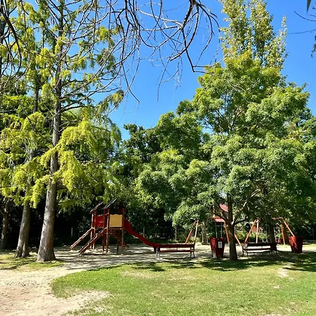 Vadrozsa Kertkapcsolatos * バダチョニトマイ