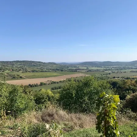 Vadrózsa Kertkapcsolatos Badacsonytomaj