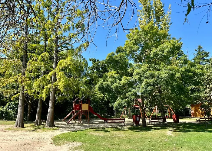 Vadrozsa Kertkapcsolatos * Badacsonytomaj