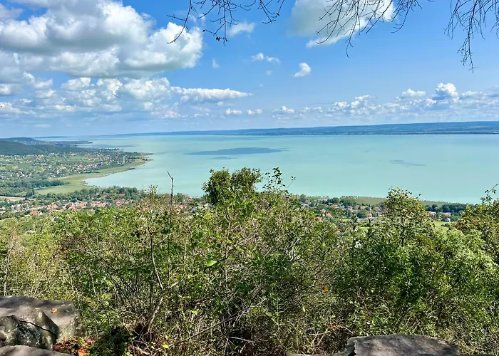 Vadrozsa Kertkapcsolatos Appartamento *