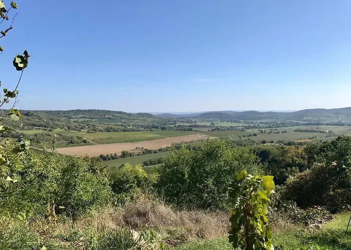 Vadrozsa Kertkapcsolatos Badacsonytomaj